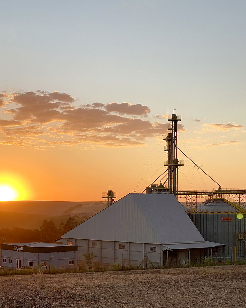 A sede e os silos da Agropohl no fim da tarde