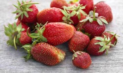 Lorem ipsum dolor sit